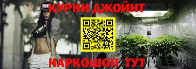 стаф Новокубанск