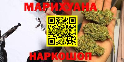 стаф Новокубанск