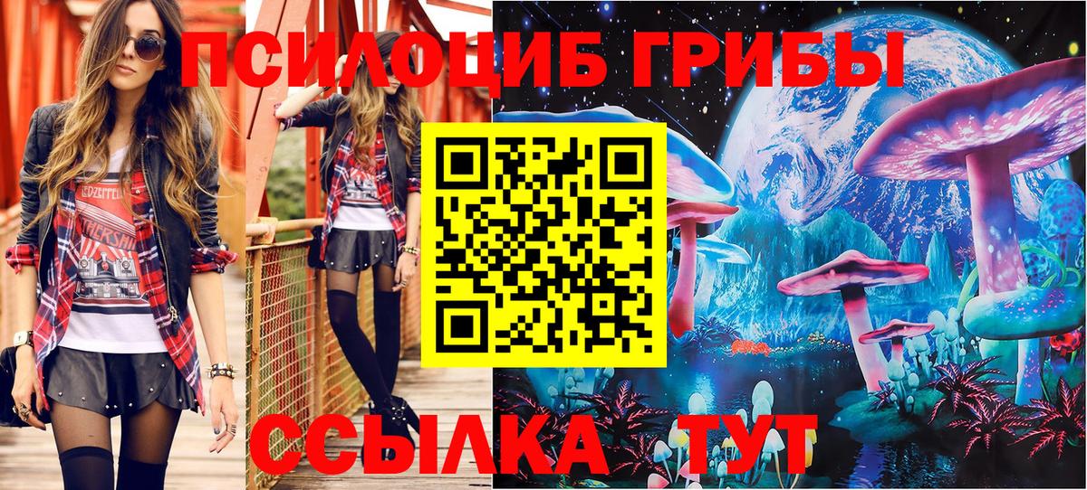 Галлюциногенные грибы прущие грибы Псков