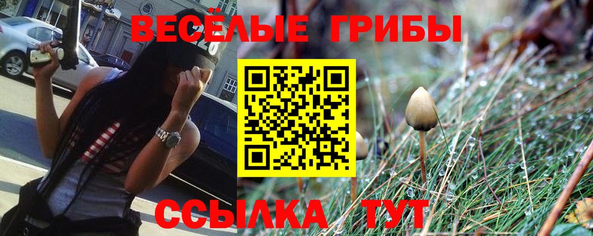 Галлюциногенные грибы прущие грибы  Вход с VPN  Псков 